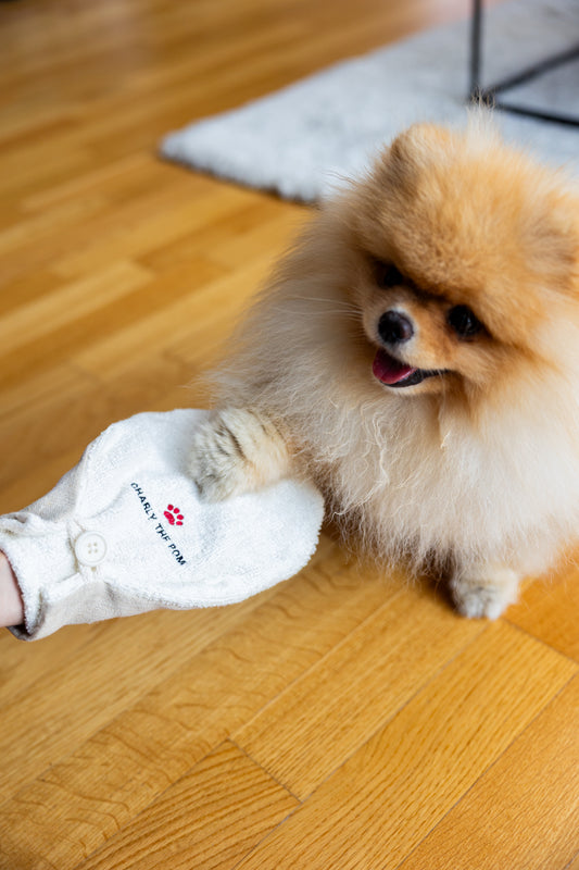 Handschuh für Pfoten- und Fellreinigung