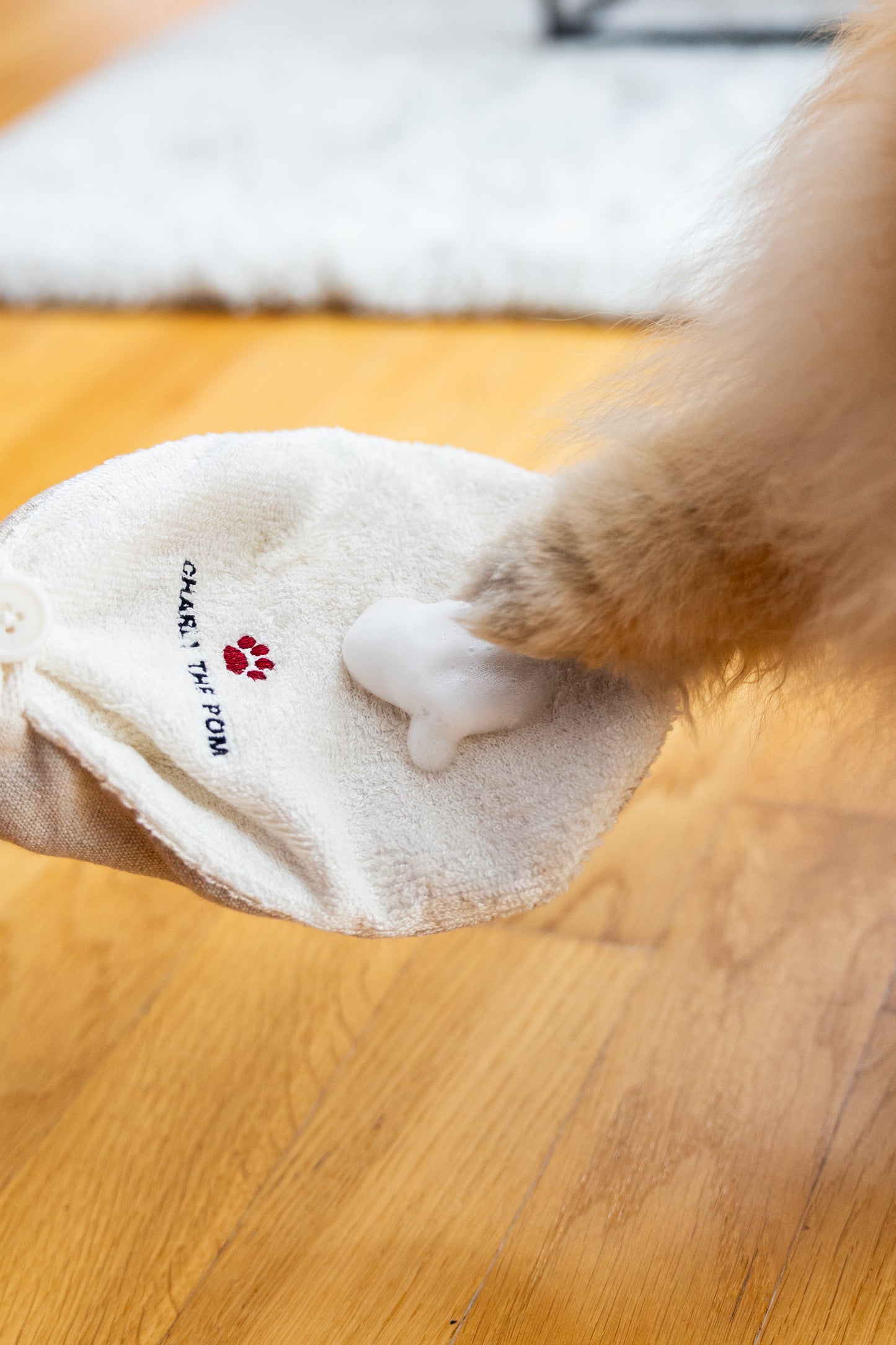 Wellness Duo - Reinigungsmousse und Handschuh für Pfoten- und Fellreinigung