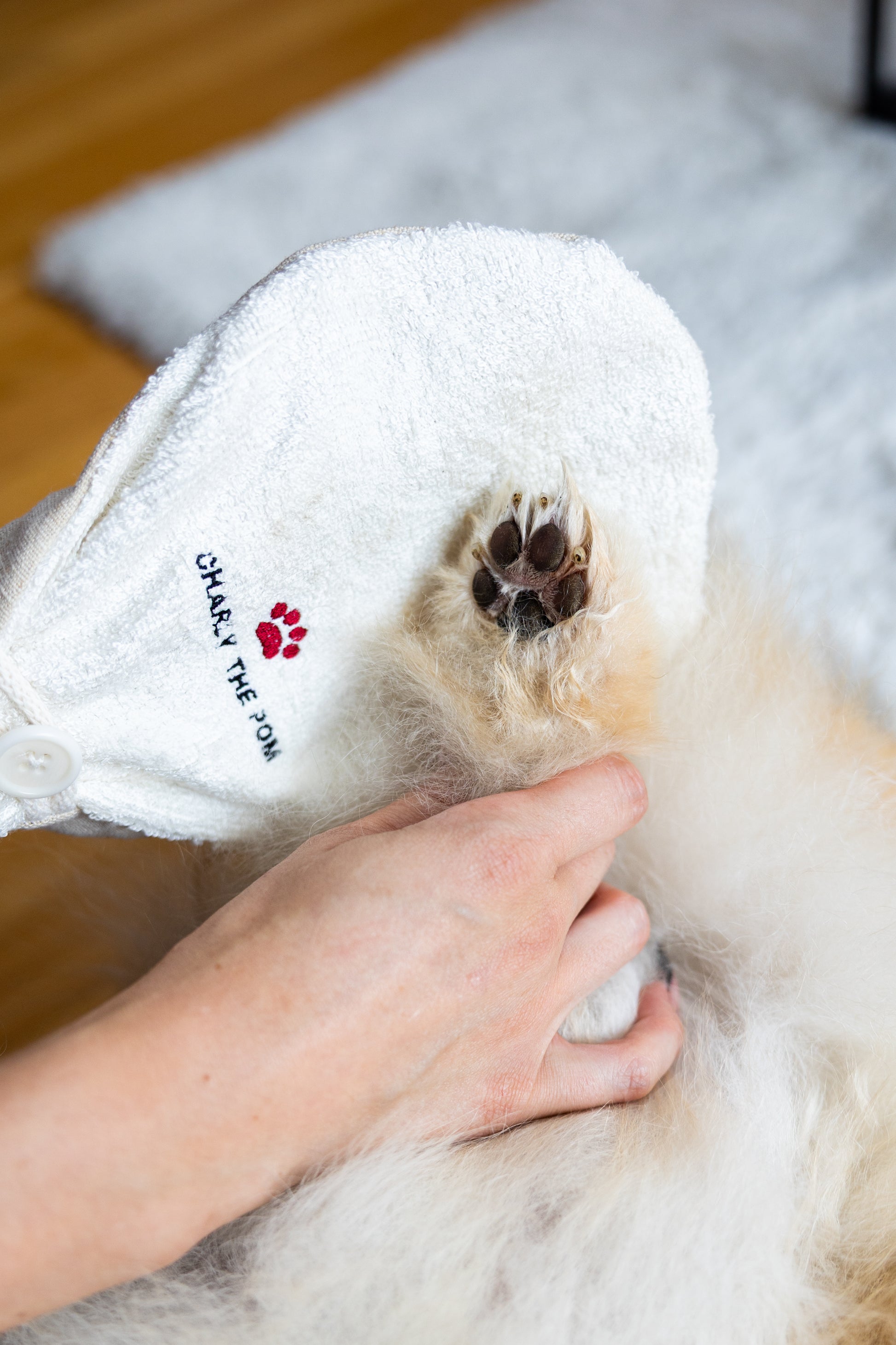 pfoten handschuh hund Handschuh für Pfoten- und Fellreinigung – Charly The Pom